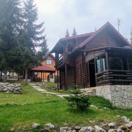 Villa Brvnare Krstigora Zaovine Exterior foto